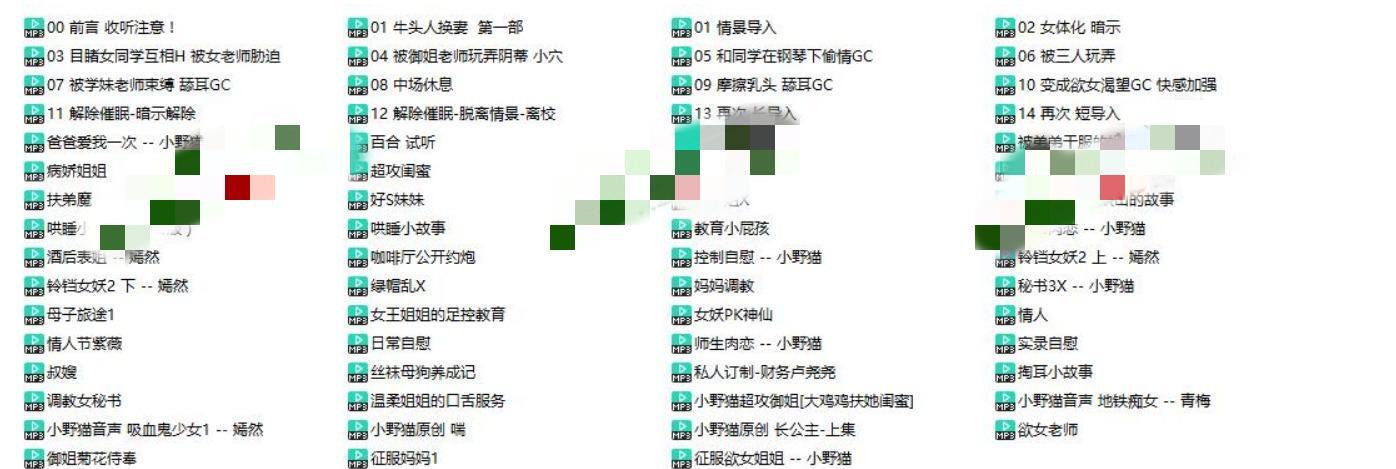 小野猫其他音声63A-1.91G