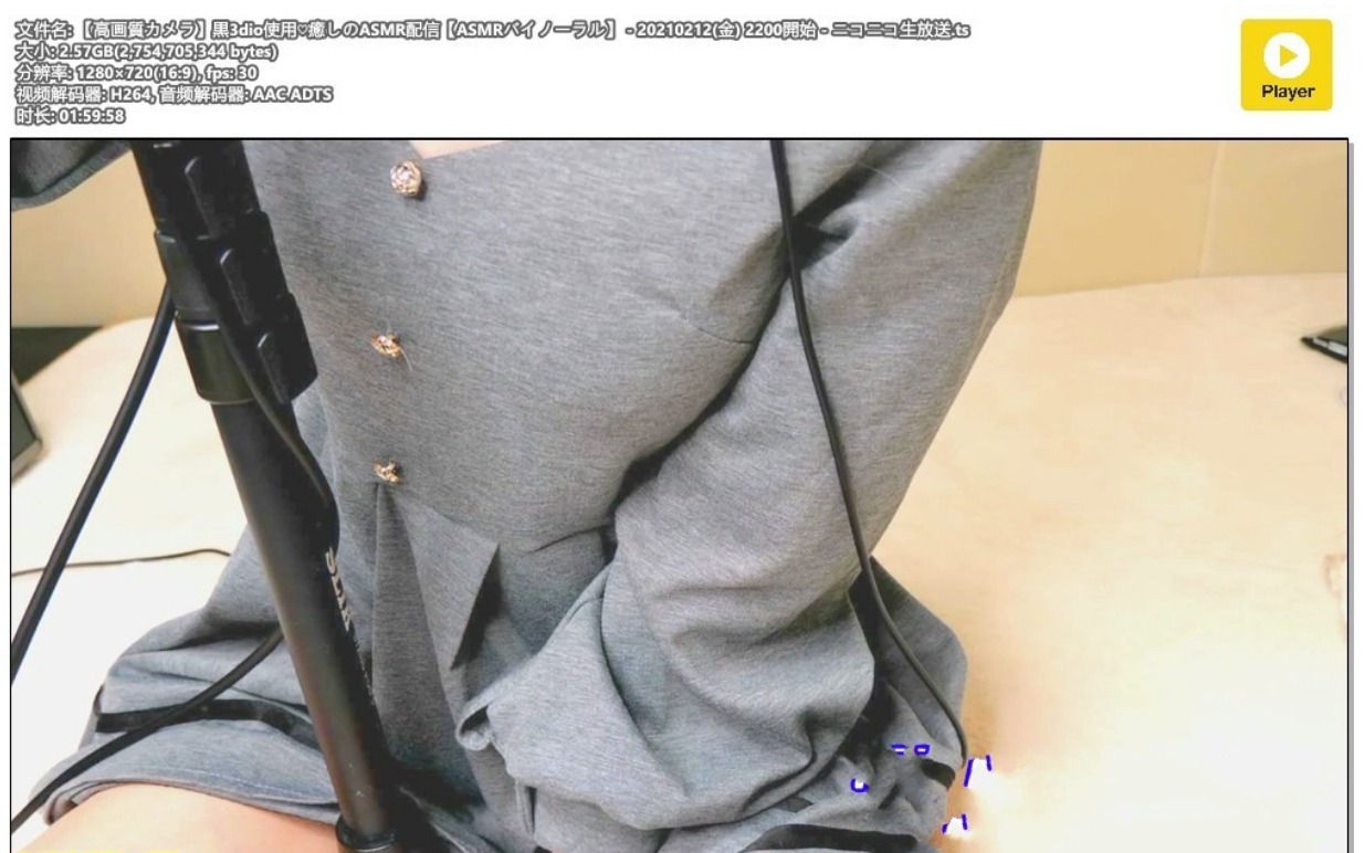 [2021] 使用黑色3dio?治愈系ASMR发布 – 利香ちゃんねる