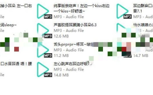B站Flora圆圆爱发电赞助音频包11A-141M