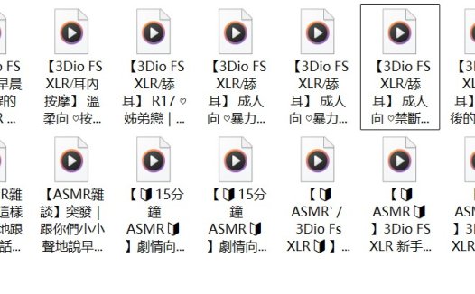 AoiHinamoriCh中文音声37部音频合集