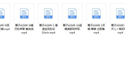 其实是椰子啦 ASMR 10V