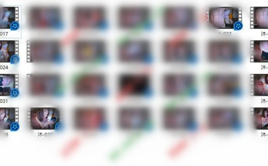 郑美思/沐醒醒-28部办卡合集