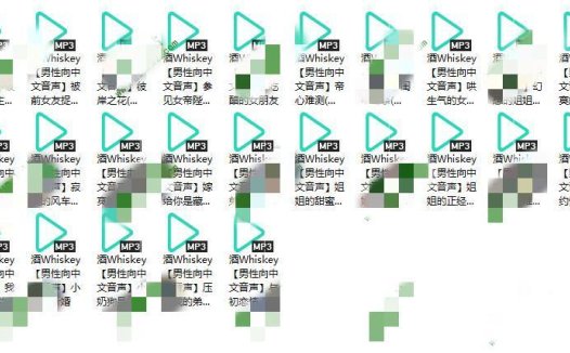 不斟酒/酒Whiskey舰长音声25部