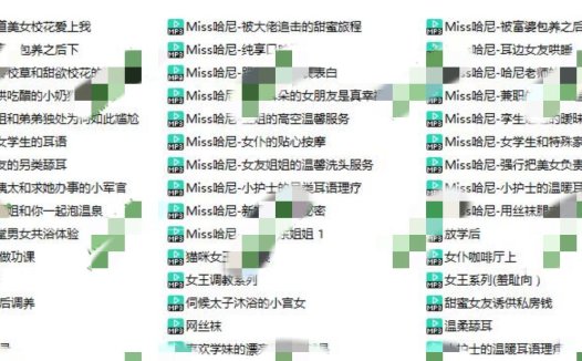 Miss哈尼音声45部1.09G