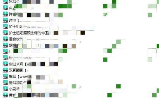 琉璃不流离音声20部