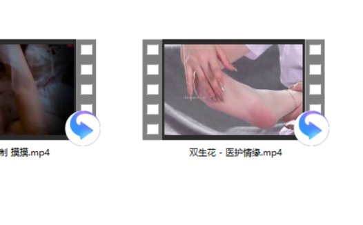 白荔芝定制 摸摸+双生花 – 医护情缘