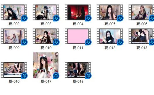 夏喵娜KINA-办卡飞机视频合集18部