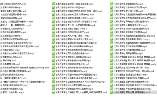桑九学姐音声最全整理153部大合集5.24G