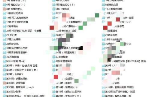 阿木木音声92部（4.41G）