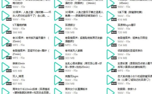 B站烛灵儿生日会舰长音声28部