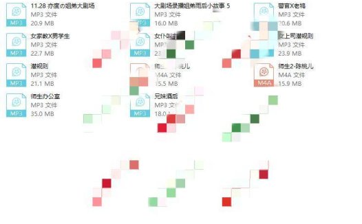 陈桃儿音声11部