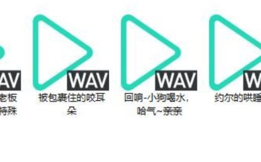 B站芝恩㱏2024年1月爱发电中文音声资源