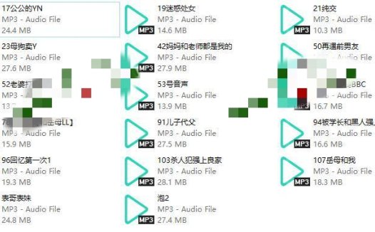 子非鱼音频17部