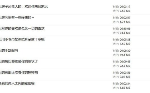 台北姐姐/杰姐不要中文音声资源8部