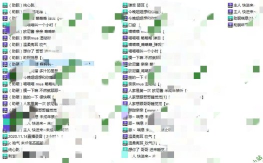 喵羞舰长音频52部