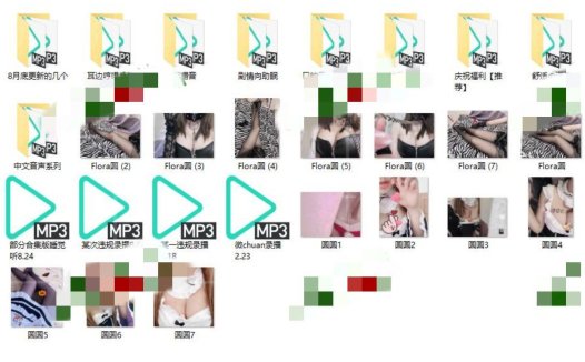 B站Flora圆圆138舰长音频99A/14P-3.32G