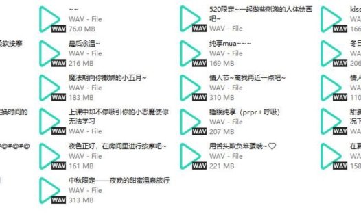 B站五月织姬ctsu舰长音频22部