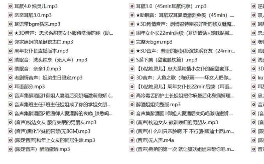 B站烛灵儿音声最全68部