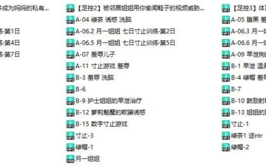 月一姐姐中文音声合集41部