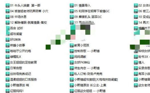 小野猫其他音声63A-1.91G