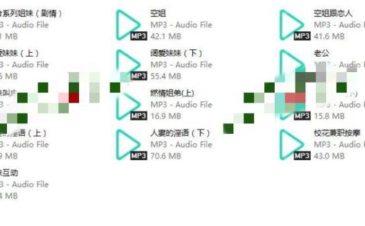 胡啾啾音声13A-439M